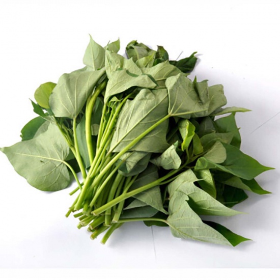Rau lang tươi, an toàn VietGAP